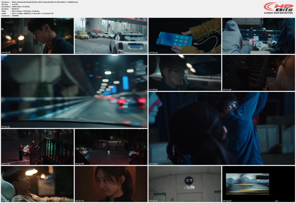 What.a.Wonderful.World.S01E01.2025.2160p.IQ.WEB-DL.H265.DDP5.1-CHDWEB.mkv.jpg