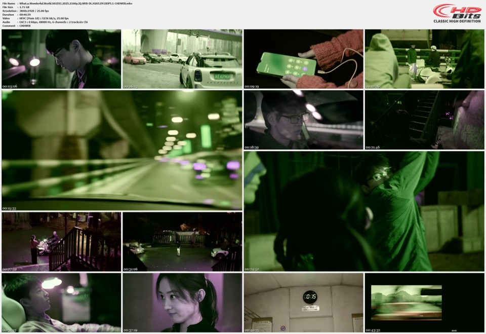 What.a.Wonderful.World.S01E01.2025.2160p.IQ.WEB-DL.H265.DV.DDP5.1-CHDWEB.mkv.jpg