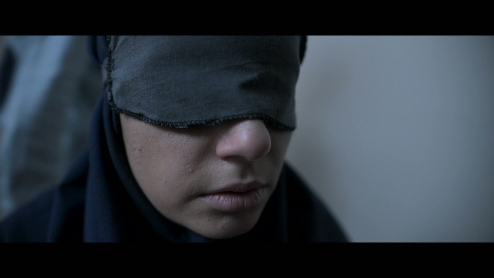 The.Seed.of.the.Sacred.Fig.2024.REMUX.Bluray.1080p.AVC.DTS-HDMA5.1-CHD.mkv_20250602_071907.883.jpg