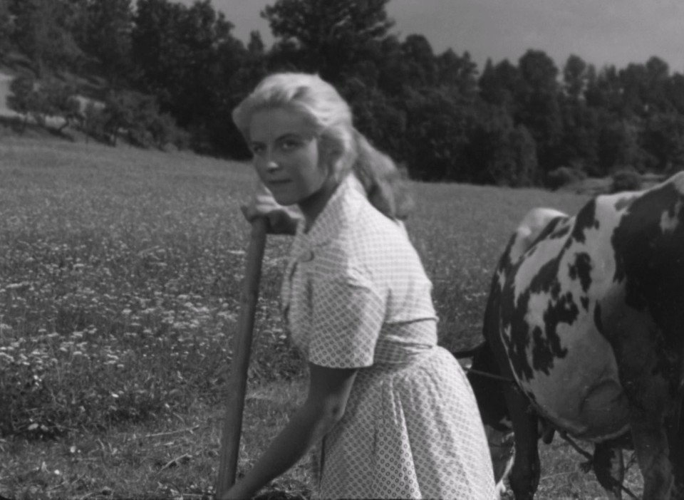 Touha.1958.1080p.Bluray.LPCM.2.0.x264-CHD.mkv_20250602_233353.822.jpg