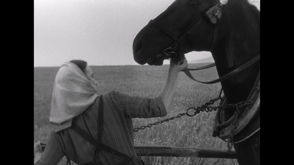 Touha.1958.1080p.Bluray.Remux.AVC.LPCM.2.0-CHD.mkv_20250602_235853.789.jpg