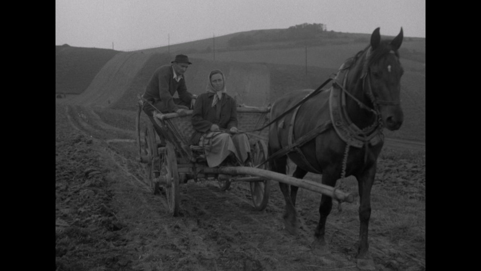 Touha.1958.1080p.Bluray.Remux.AVC.LPCM.2.0-CHD.mkv_20250602_235901.934.jpg