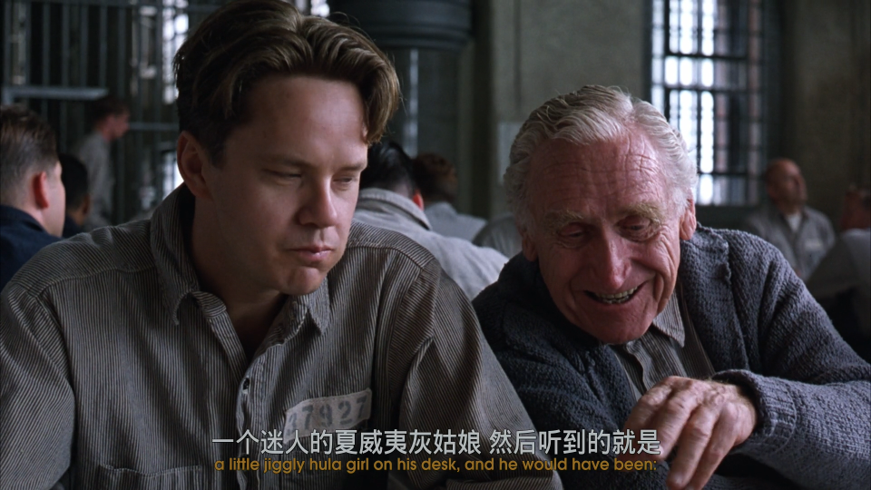 The.Shawshank.Redemption.1994.Bluray.1080p.ipad.AAC2.0.x264-CHDPAD.mp4078789.png