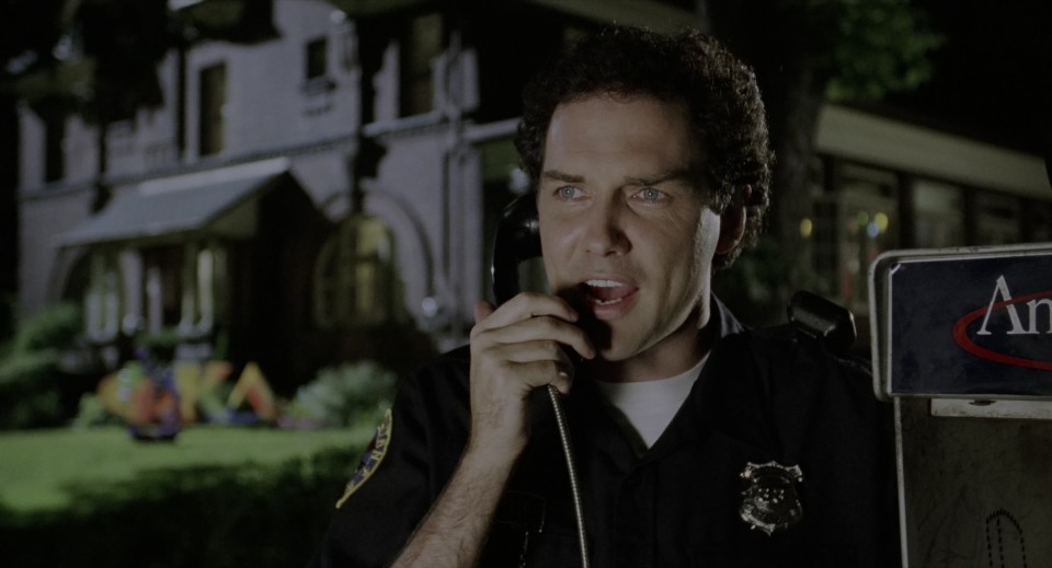 screenshot.dw.03.jpg