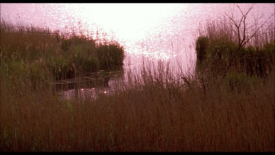 The.Sea.Is.Watching.2002.Bluray.1080p.iPad.AAC2.0.x264-CHDPAD.mp4_20250624_181712.954.jpg