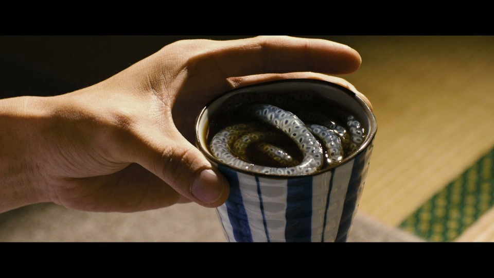 Yakuza.Apocalypse-.2015.Bluray.1080p.iPad.AAC2.0.x264-CHDPAD.mp4_20250625_183807.573.jpg