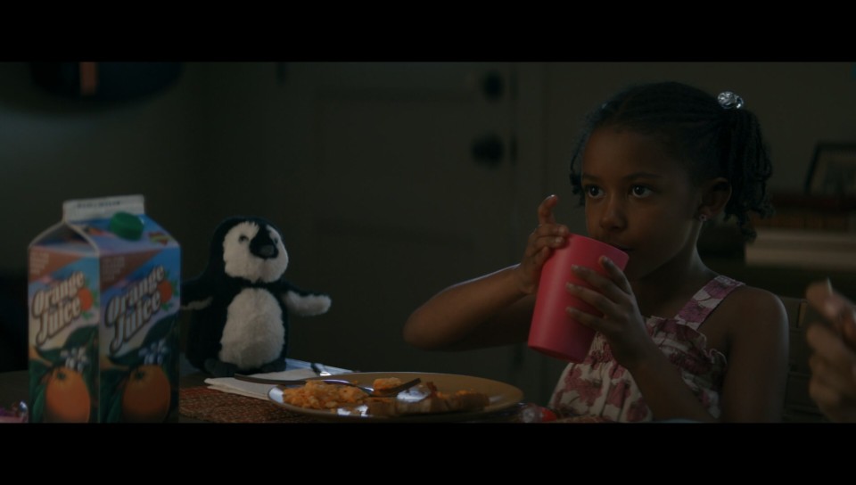 The.Woman.in.the.Yard.2025.1080p.Bluray.Remux.AVC.TrueHD.7.1-CHD.mkv_001031.548.jpg