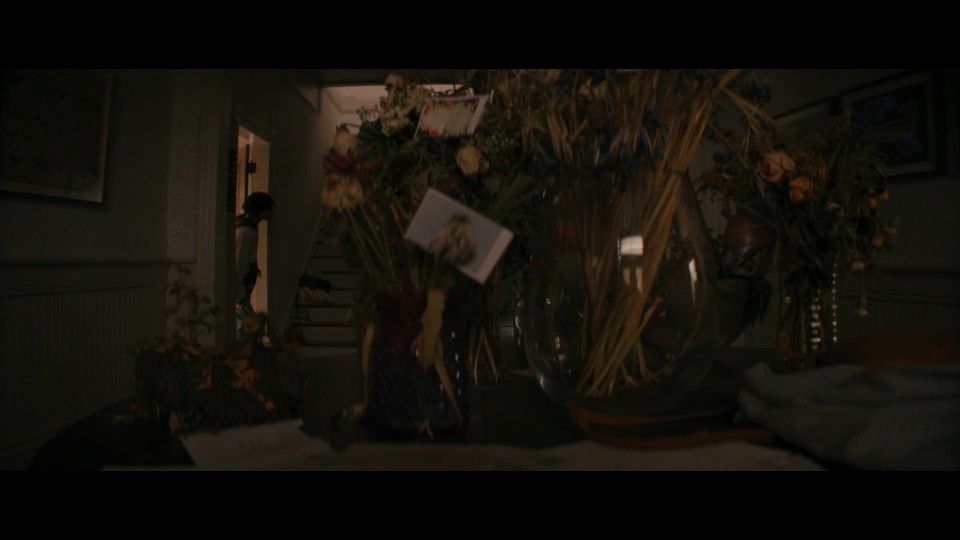 The.Woman.in.the.Yard.2025.1080p.Bluray.iPad.AAC.2.0.x264-CHDPAD.mp4_003817.888.jpg