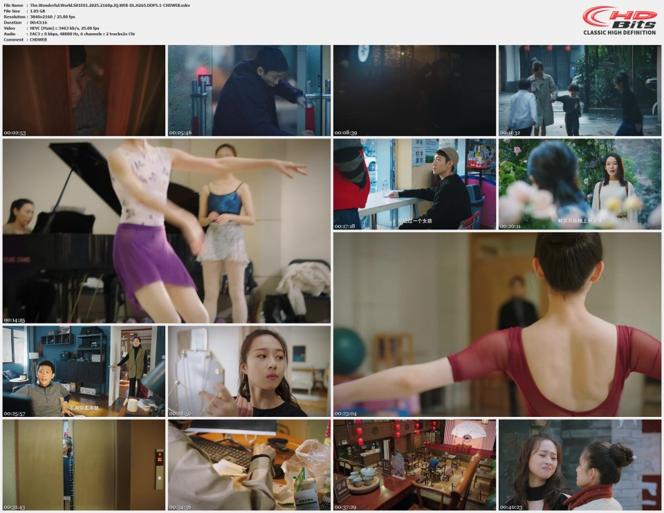 The.Wonderful.World.S01E01.2025.2160p.IQ.WEB-DL.H265.DDP5.1-CHDWEB.mkv.jpg