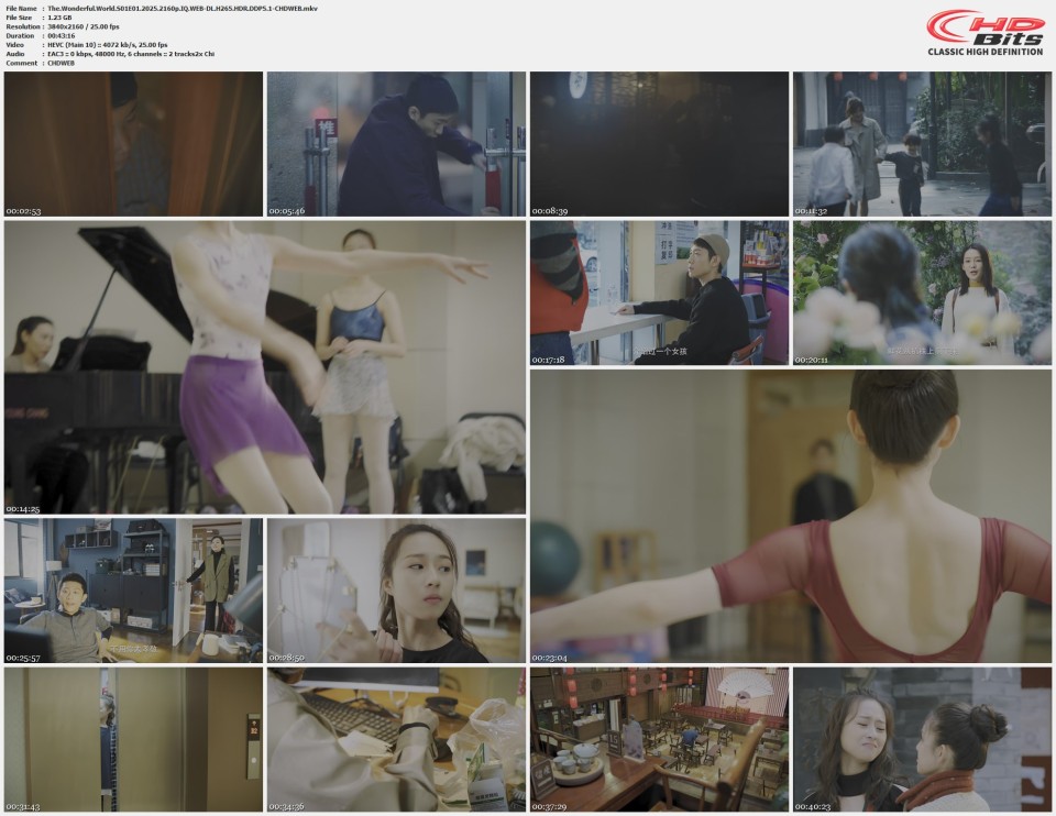 The.Wonderful.World.S01E01.2025.2160p.IQ.WEB-DL.H265.HDR.DDP5.1-CHDWEB.mkv.jpg