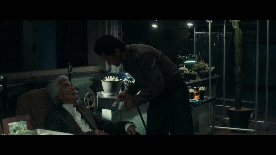 The.Box.Man.2024.REMUX.Bluray.1080p.AVC.DTS-HDMA5.1-CHD.mkv_20250706_111323.164.jpg