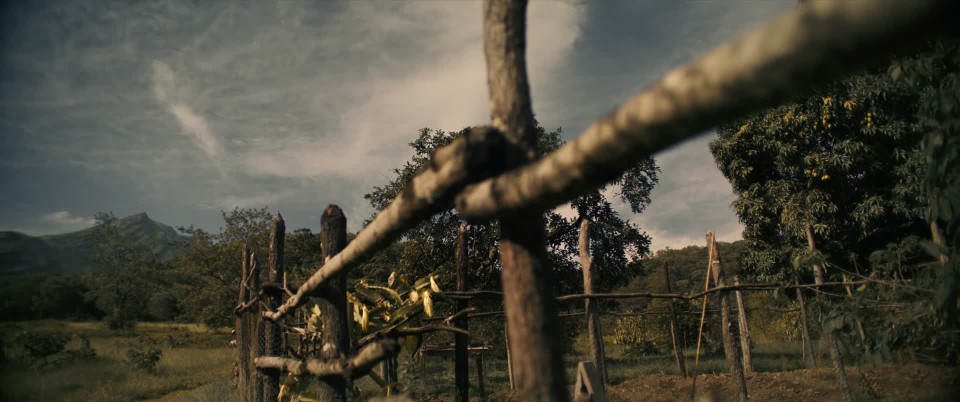 screenshot.ed.18.jpg