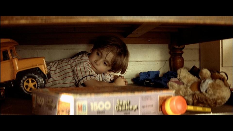 Leon.The.Professional.1994.1080p.Bluray.Remux.AVC.TrueHD5.1-CHD.mkv_20250723_104533.403.jpg