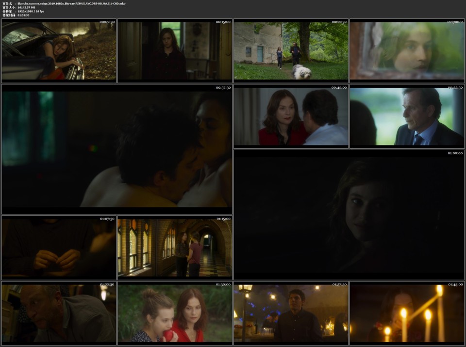 Blanche.comme.neige.2019.1080p.Blu-ray.REMUX.AVC.DTS-HD.MA.5.1-CHD.mkv.jpg