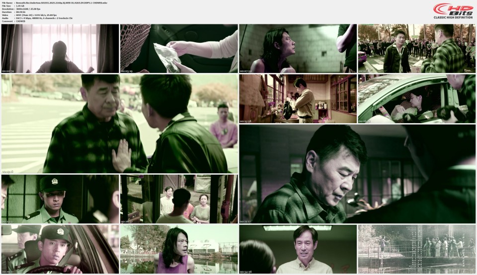 Beneath.the.Undertow.S01E01.2025.2160p.IQ.WEB-DL.H265.DV.DDP5.1-CHDWEB.mkv.jpg