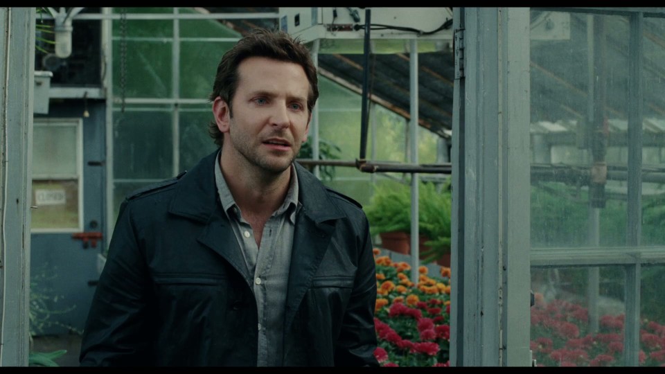 The.Words.2012.Bluray.1080p.iPad.AAC2.0.x264-CHDPAD.mp4_20250731_174329.018.jpg