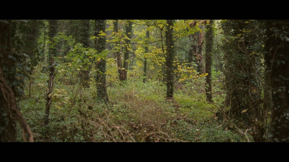 Glorious.39.2009.REMUX.Bluray.1080p.AVC.DTS-HDMA5.1-CHD.mkv_20250805_075640.643.jpg