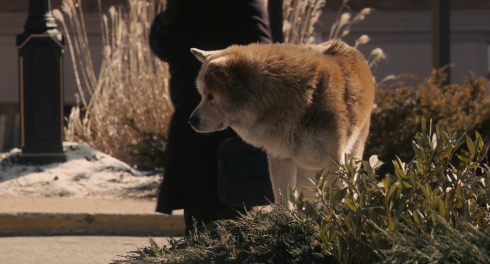 Hachi.A.Dogs.Tale.2009.1080p.Bluray.DTS-HD.MA.5.1.x264-CHD.mkv_20250819_101741.616.jpg