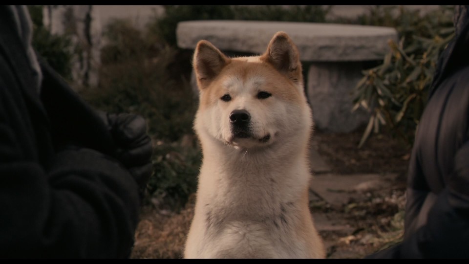 Hachi.A.Dogs.Tale.2009.1080p.Bluray.Remux.AVC.DTS-HD.MA.5.1-CHD.mkv_20250819_100135.927.jpg