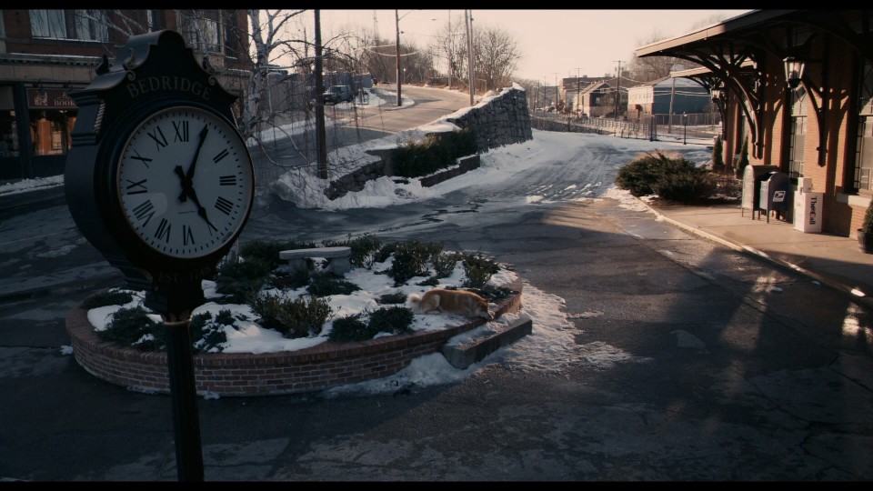 Hachi.A.Dogs.Tale.2009.1080p.Bluray.iPad.AAC.2.0.x264-CHDPAD.mp4_20250819_101130.060.jpg