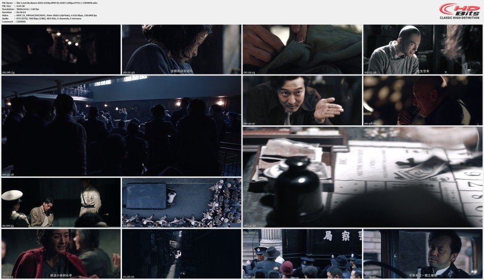 Shes.Got.No.Name.2025.2160p.WEB-DL.H265.120fps.DTS5.1-CHDWEB.mkv.jpg