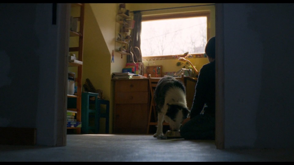 Anatomy.of.a.Fall.2023.1080p.Bluray.iPad.AAC.2.0.x264-CHDPAD.mp4_020130.349.jpg
