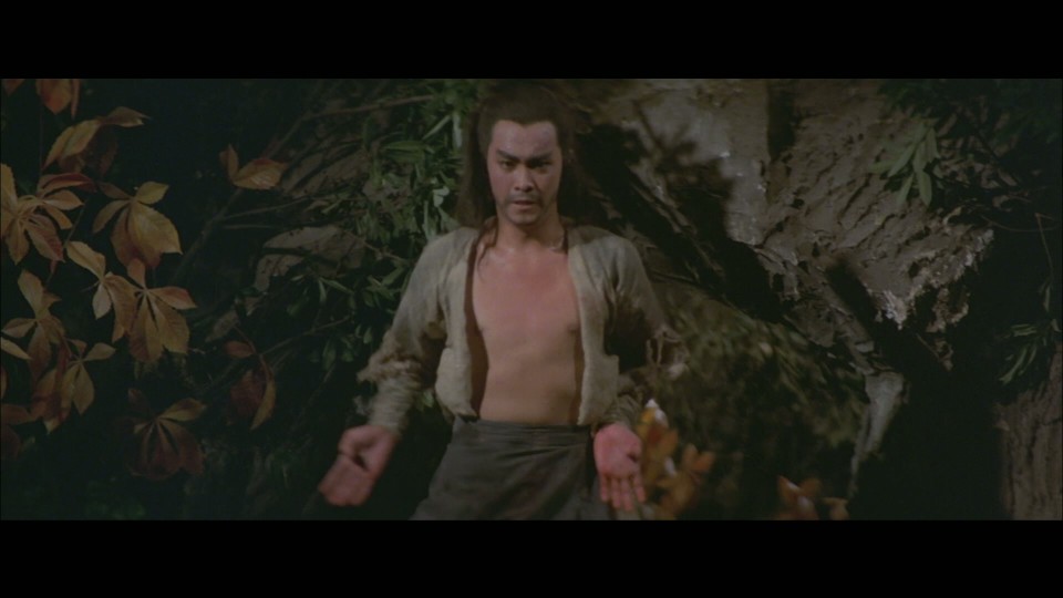 Heaven.Sword.and.Dragon.Sabre.2.1978.REMUX.Bluray.1080p.AVC.DTS-HDMA2.0-CHD.mkv_20250905_192507.375.jpg