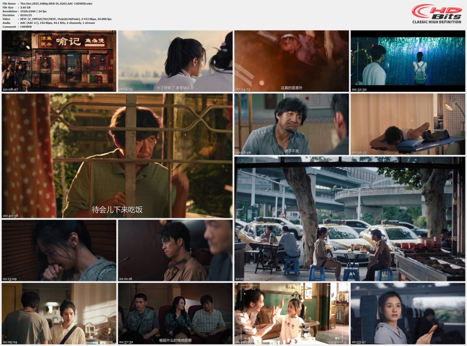 The.One.2025.1080p.WEB-DL.H265.AAC-CHDWEB.mkv.jpg