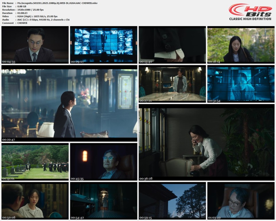 Ms.Incognito.S01E01.2025.1080p.IQ.WEB-DL.H264.AAC-CHDWEB.mkv.jpg