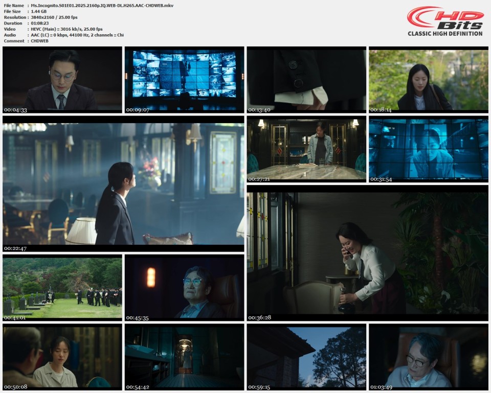 Ms.Incognito.S01E01.2025.2160p.IQ.WEB-DL.H265.AAC-CHDWEB.mkv.jpg