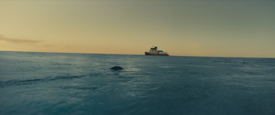 screenshot.da.10.jpg