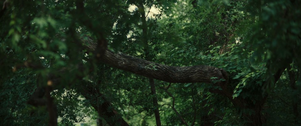 The.Other.2025.Bluray.1080p.DTS-HDMA5.1.x265.10bit-CHD.mkv_20251013_194501.443.jpg