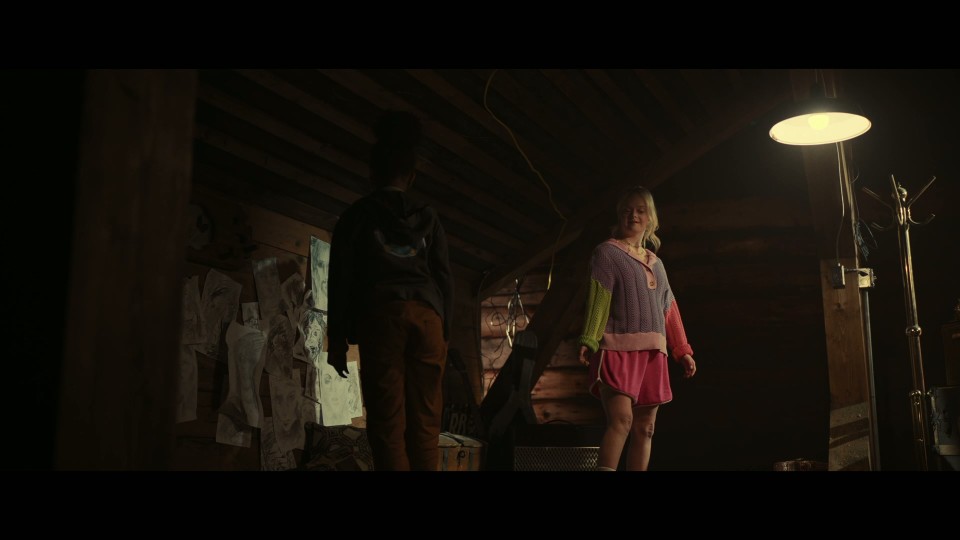 The.Other.2025.REMUX.Bluray.1080p.AVC.DTS-HDMA5.1-CHD.mkv_20251013_193922.653.jpg