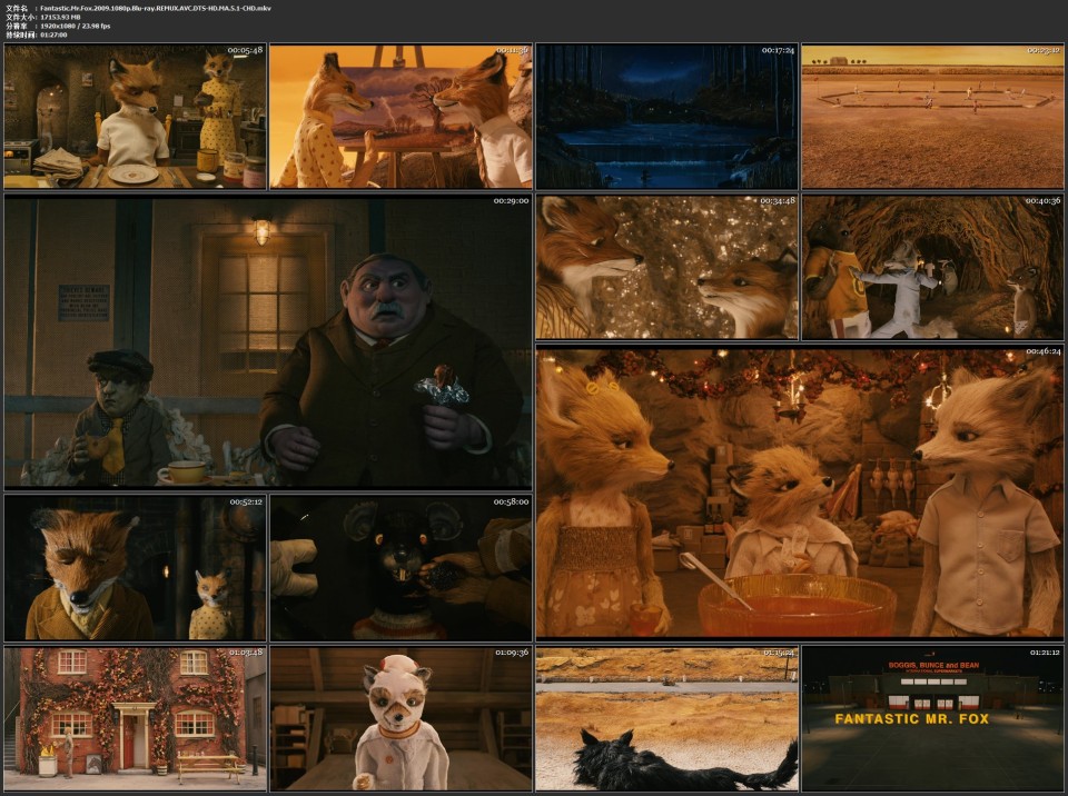 Fantastic.Mr.Fox.2009.1080p.Blu-ray.REMUX.AVC.DTS-HD.MA.5.1-CHD.mkv.jpg
